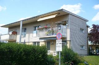 Wohnung mieten in Murfelderstraße 51, 8041 Graz, Geförderte 2 Zimmer Mietwohnung in Graz-Liebenau, Murfelderstraße 51