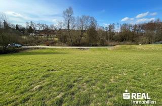 Grundstück zu kaufen in 4622 Eggendorf im Traunkreis, Ausgewogene Bauparzelle