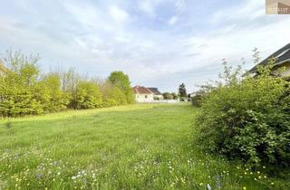Grundstück zu kaufen in 2486 Pottendorf, Ihr Traum vom Eigenheim - Bauland in Pottendorf