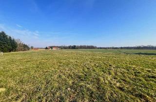 Grundstück zu kaufen in 8263 Großwilfersdorf, Leistbares, ebenes, sonniges Baugrundstück mit guter Anbindung!