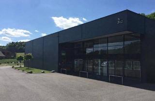Büro zu mieten in 8081 Heiligenkreuz am Waasen, Hallenflächen - Büro - Geschäft nur 10 Min. von Graz Ost - in 8081 Liebensdorf