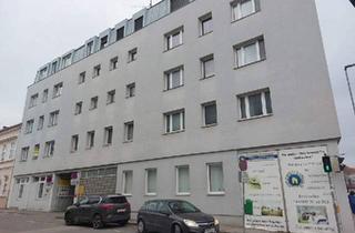 Wohnung mieten in 2130 Mistelbach, Wohnung Nähe Zentrum