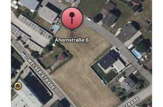 Grundstück zu kaufen in Ahornstrasse, 4701 Bad Schallerbach, Attraktives Baugrundstück im Kurort Bad Schallerbach – Therme & Zentrum in kurzer Distanz