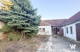 Grundstück zu kaufen in 2432 Schwadorf, Raum für Träume – Grundstück in Schwadorf mit viel Potenzial