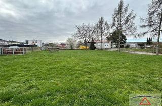 Grundstück zu kaufen in 4614 Marchtrenk, Herrlicher Baugrund für Ihren Hausbau - Sackgasse!