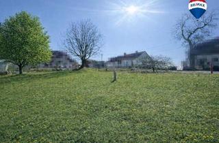 Grundstück zu kaufen in 4074 Stroheim, Leben in guter Nachbarschaft in Stroheim | Reith