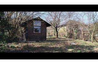  in 3420 Kritzendorf, Großzügiger Garten zur Pacht