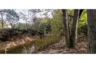 Grundstück zu kaufen in 2602 Blumau-Neurißhof, IDYLLISCHE LAGE MIT ZUGANG ZU BACHLAUF