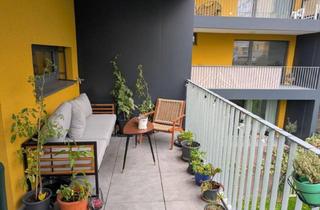 Wohnung mieten in Auf Der Wies 10, 4040 Linz, Moderne 1-Zimmer-Wohnung zur Zwischenmiete inkl. Balkon