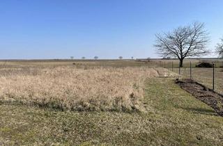 Grundstück zu kaufen in 2130 Mistelbach, Traumhaftes Baugrundstück - Aufschließungsabgabe bereits entrichtet und kein Bauzwang!