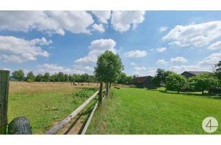 Haus kaufen in 3841 Windigsteig, Pferdeparadies mit Reithalle