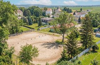 Grundstück zu kaufen in 2433 Margarethen am Moos, Baugrundstück mit Pferdestall und Lagerhalle für exklusives Landleben im Wiener Umland