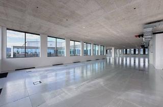 Büro zu mieten in Regensburger Straße, 4020 Linz, DAS HAFENPORTAL I BÜROFLÄCHE IM 6.OG