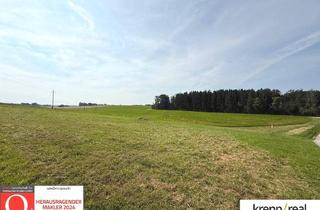 Grundstück zu kaufen in 4541 Adlwang, Exklusives Grundstück in traumhafter Ruhelage