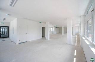 Büro zu mieten in Hietzinger Hauptstraße, 1130 Wien, Erstbezug: Moderne Büroflächen in Hietzinger Bestlage