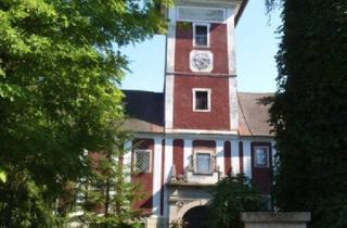 Haus kaufen in 4053 Haid, Schloss Weißenberg – Historische Größe aus privater Hand
