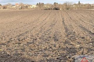 Gewerbeimmobilie kaufen in 3464 Pettendorf, Bester Acker in super Lage!