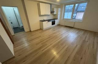 Wohnung mieten in 3813 Neu-Dietmanns, Nette 1-Zimmer-Wohnung in Dietmanns