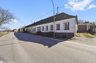 Haus kaufen in 2223 Hohenruppersdorf, *Zwei Häuser auf einem Grundstück* Wohnen, Erweitern oder Neu Denken in Hohenruppersdorf