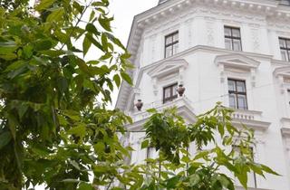 Wohnung kaufen in Schellinggasse, 1010 Wien, Ein JUWEL im Zentrum Wiens - Stil, Luxus und Lage in Perfektion