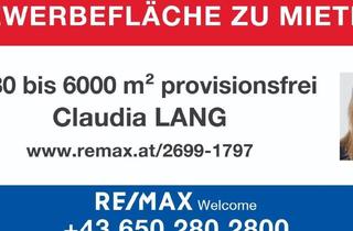  in 2522 Oberwaltersdorf, PROVISIONSFREI! - Vielseitig nutzbares Gewerbegrundstück 2880 - 6000 m² zu mieten!
