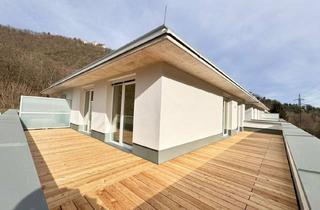 Wohnung kaufen in Thalstraße 87-89/H 1-16, 8051 Graz, Residieren im 2. OG - 3.Zimmer - riesiger Rundum Balkon - ERSTBEZUG - PROVISIONSFREI