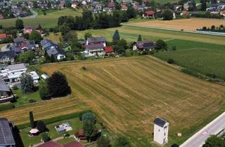 Grundstück zu kaufen in Wolfsberg, St. Stefan, 9431 Sankt Stefan, Perfekt für Bauträger: 9.242 m² großes Grundstück in St. Stefan
