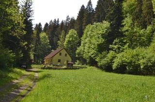 Einfamilienhaus kaufen in 2831 Warth, 2831 Warth, Idyllisches und ruhig gelegenes Landhaus in der Buckligen Welt
