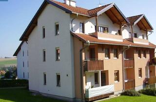 Wohnung mieten in Grub-Mallinger-Straße 14/5, 4633 Kematen am Innbach, Objekt 498: 2-Zimmerwohnung in 4633 Kematen am Innbach, Grub-Mallinger-Straße 14, Top 5