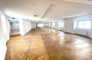 Büro zu mieten in Freyung 3/Palais Harrach 5, 1010 Wien, Repräsentative Büroetage im Herzen Wiens zu Mieten: Arbeiten im Geschichtsträchtigen Palais Harrach