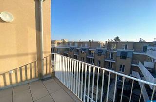 Wohnung mieten in Wimpffengasse, 1220 Wien, Charmante 2-Zimmer-Dachgeschosswohnung mit Terrasse