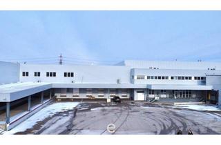 Büro zu mieten in 2351 Wiener Neudorf, Lagerfläche mit Hochregal in Top-Verkehrslage in Wiener Neudorf