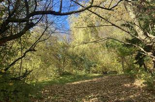 Grundstück zu kaufen in 3011 Untertullnerbach, BAUGRUND IN ZENTRALER LAGE - KEINE WOHNEINHEITENBESCHRÄNKUNG