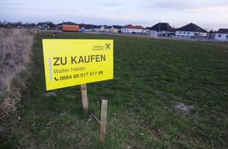 Grundstück zu kaufen in 7083 Purbach am Neusiedler See, Baugrundstück am Stadtrand in Purbach !