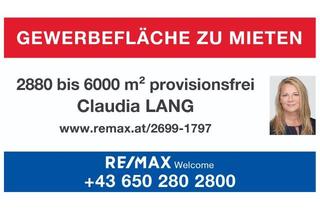  in 2522 Oberwaltersdorf, PROVISIONSFREI! - Vielseitig nutzbares Gewerbegrundstück 2880 - 6000 m² zu mieten!