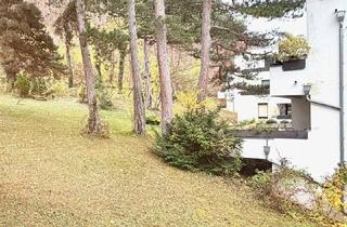 Wohnung kaufen in 2340 Mödling, Sanierte 4 oder 5 Zimmer-Wohnung mit Loggia & Indoor-Pool in Grünruhelage