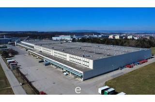 Büro zu mieten in 3100 Sankt Pölten, Top Lagerfläche in bester Verkehrslage in St.Pölten