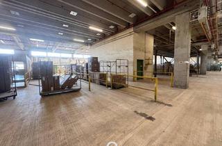 Büro zu mieten in 3100 Sankt Pölten, ab 100 m² ! Kleinteilige Lagerflächen in bester Verkehrslage in St.Pölten