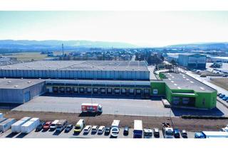 Büro zu mieten in 3100 Sankt Pölten, Top Lagerfläche in bester Verkehrslage in St.Pölten