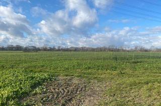 Grundstück zu kaufen in 4481 Asten, ASTEN: 33.750M2 LANDWIRTSCHAFTLICHER NUTZGRUND ZU VERKAUFEN