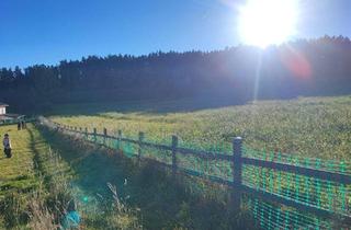 in Kottingersdorf 23, 4211 Alberndorf in der Riedmark, Verpachte Grundstück mit Erholfaktor