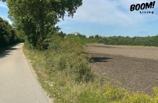 Grundstück zu kaufen in 7142 Illmitz, Traumhaftes Baugrundstück in Illmitz – Ihr neues Eigenheim auf Eigengrund!