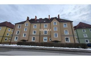 Wohnung kaufen in Heinrichshof, 8784 Trieben, Praktische 2-Zimmer Wohnung in sonniger Lage!