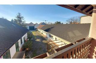 Wohnung mieten in 2201 Gerasdorf, Gartenwohnung- Ruheoase- Sofortbezug möglich!