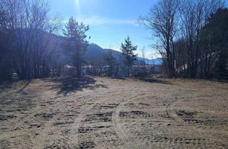 Grundstück zu kaufen in 9311 Kraig, ebener Baugrund, sonnig mit Privatsphäre