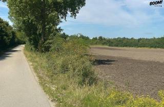 Grundstück zu kaufen in 7142 Illmitz, Traumhaftes Baugrundstück in Illmitz – Ihr neues Eigenheim auf Eigengrund!