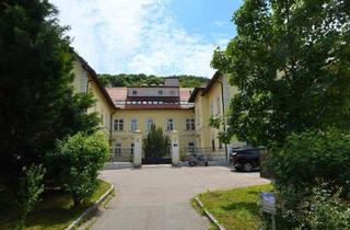 Wohnung kaufen in 3400 Klosterneuburg, Klimatisiertes Dachgeschoßeigentum mit südseitiger Terrasse in absoluter Ruhelage in Klosterneuburg