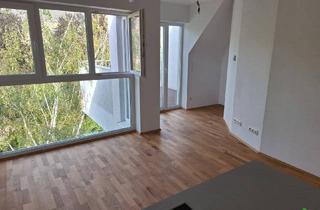 Wohnung mieten in Baumgartenstraße 14, 1140 Wien, HELLE 2-ZIMMER-DACHGESCHOSS-WOHNUNG!