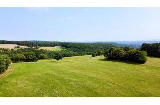 Grundstück zu kaufen in 2803 Schwarzenbach, Grundstück mit Baumbestand für landwirtschaftliche Zwecke | 60.053 m² | Schwarzenbach in der Buckligen Welt