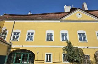 Wohnung mieten in 2340 Mödling, Tolle Lage – eigenwillige 3 Zimmer Altbau Wohnung für 1-2 Personen